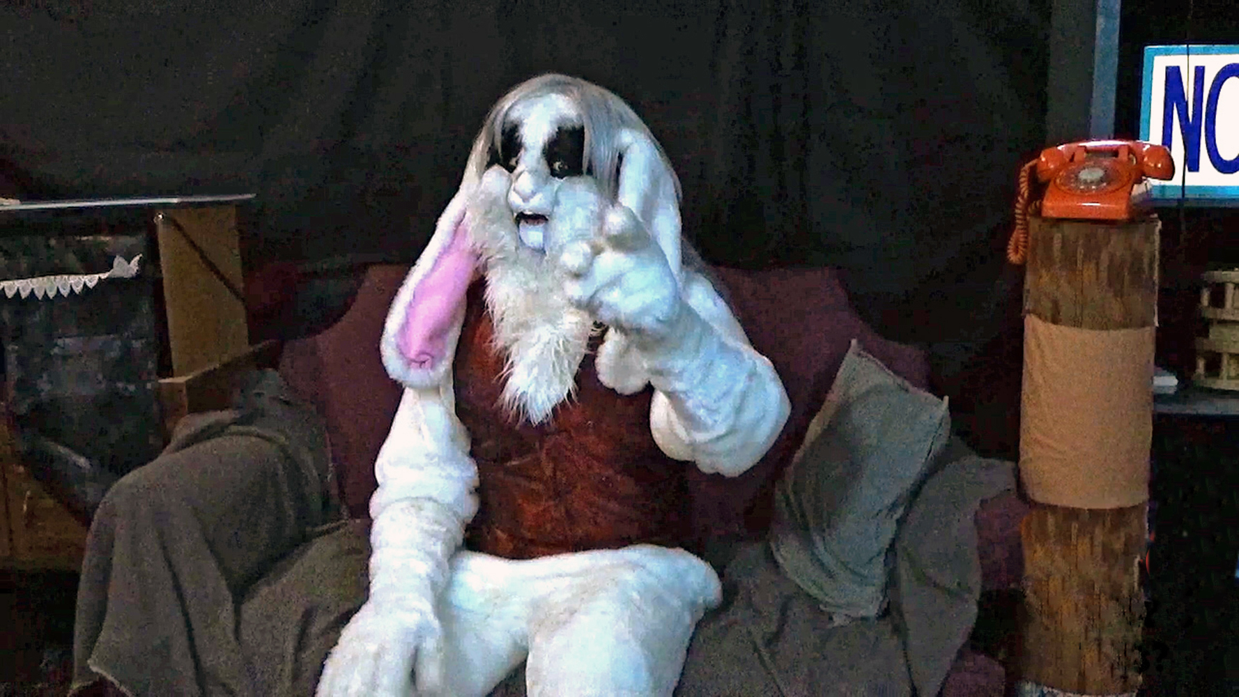 amorpheousebunny avatar